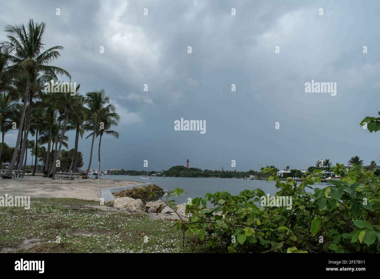 Marina and park with palm trees, grass, water in Palm Beach County, Florida part of the Florida Fish and Wildlife with sidewalk, boardwalks and bridge Stock Photo