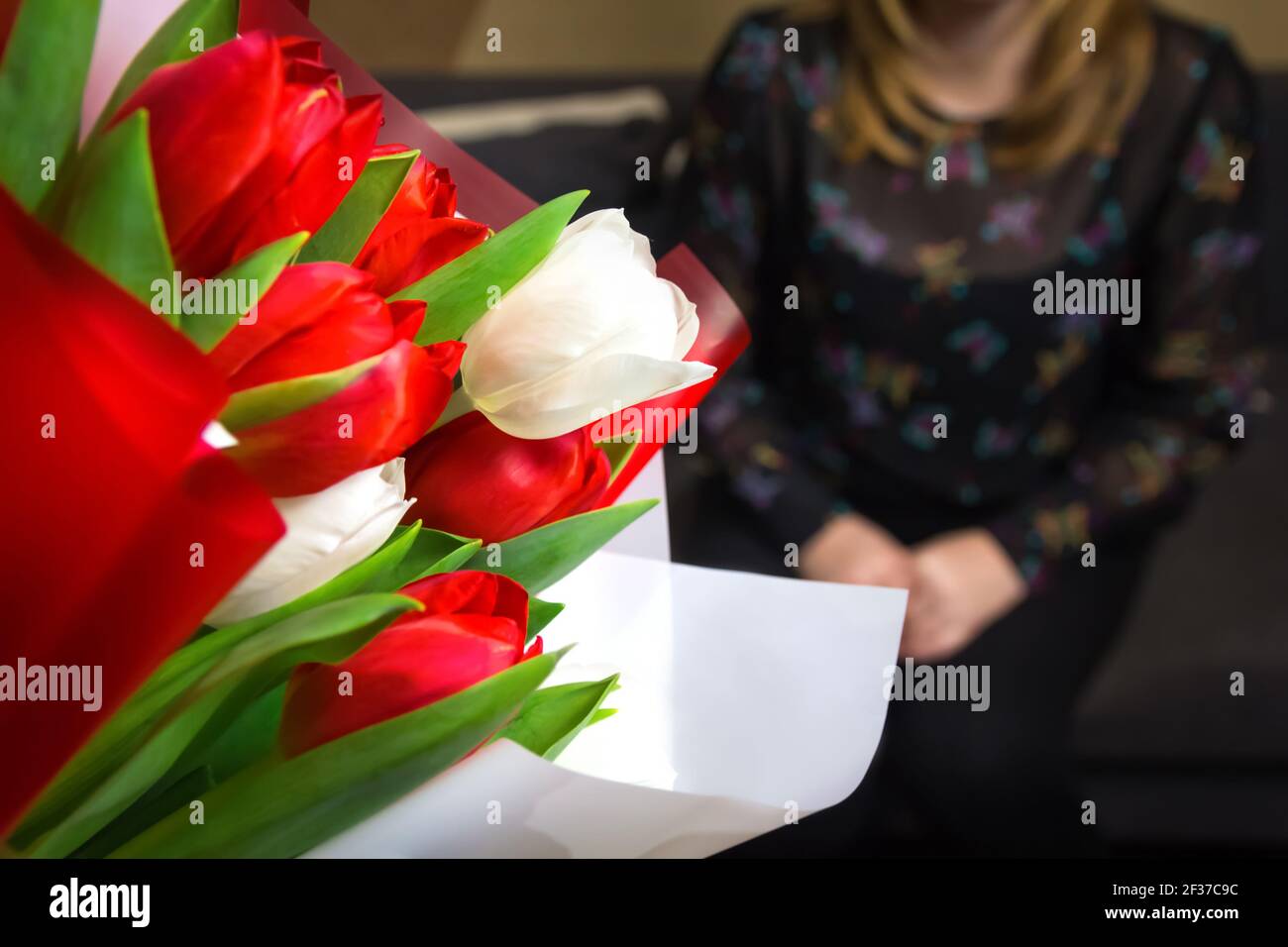 DEFOCUS Tulip women background. Bouquet of colorful tulips with blurred woman on background Happy Mother's Day concept. Women's day. Horizontal. 8 Stock Photo