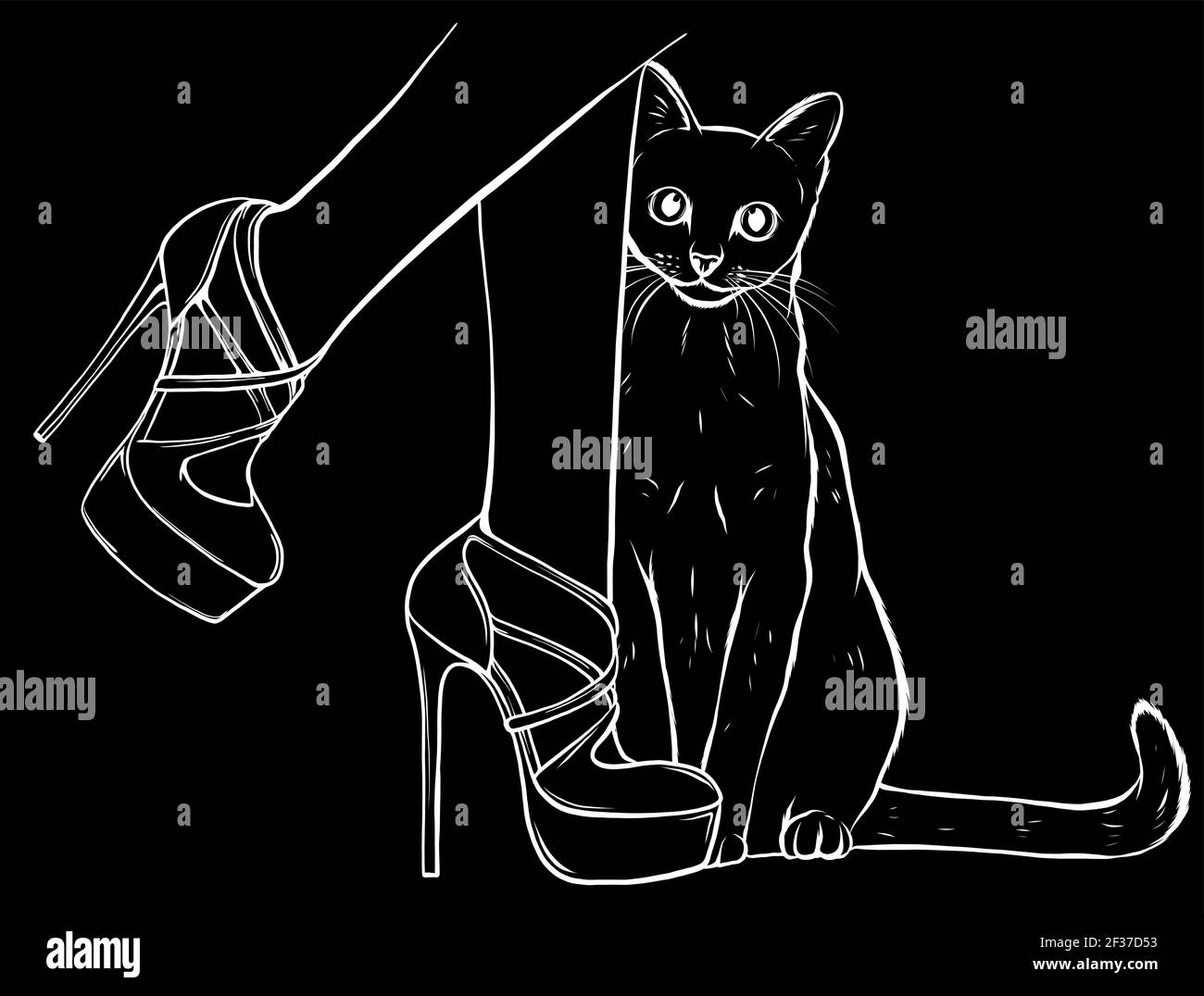 cat looking up at beautiful female legs in colorful fashionable high wedge leather silhouette in black background Stock Vector