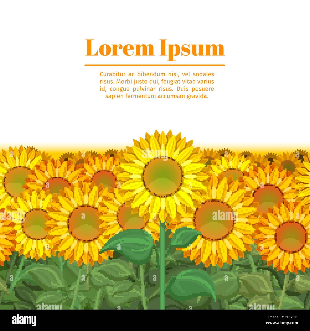 Sunflower field. Row of sunflowers vector illustration. Endless field with sun flower Stock Vector