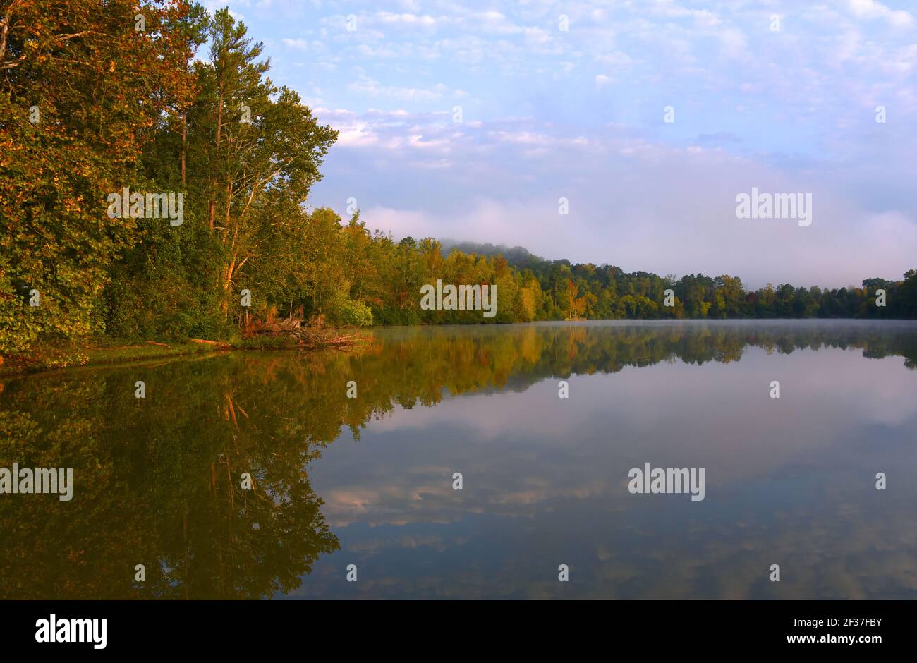 Trees and sky are reflected in the calm water of Watts Lake, Soaring Eagle Campground. Sunrise brightens sky and tints trees with red and gold. Stock Photo