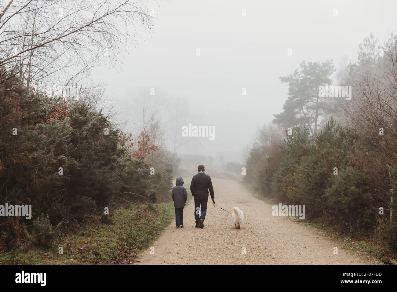 Rear view of father and son walking dog along gravel path in fog Stock Photo