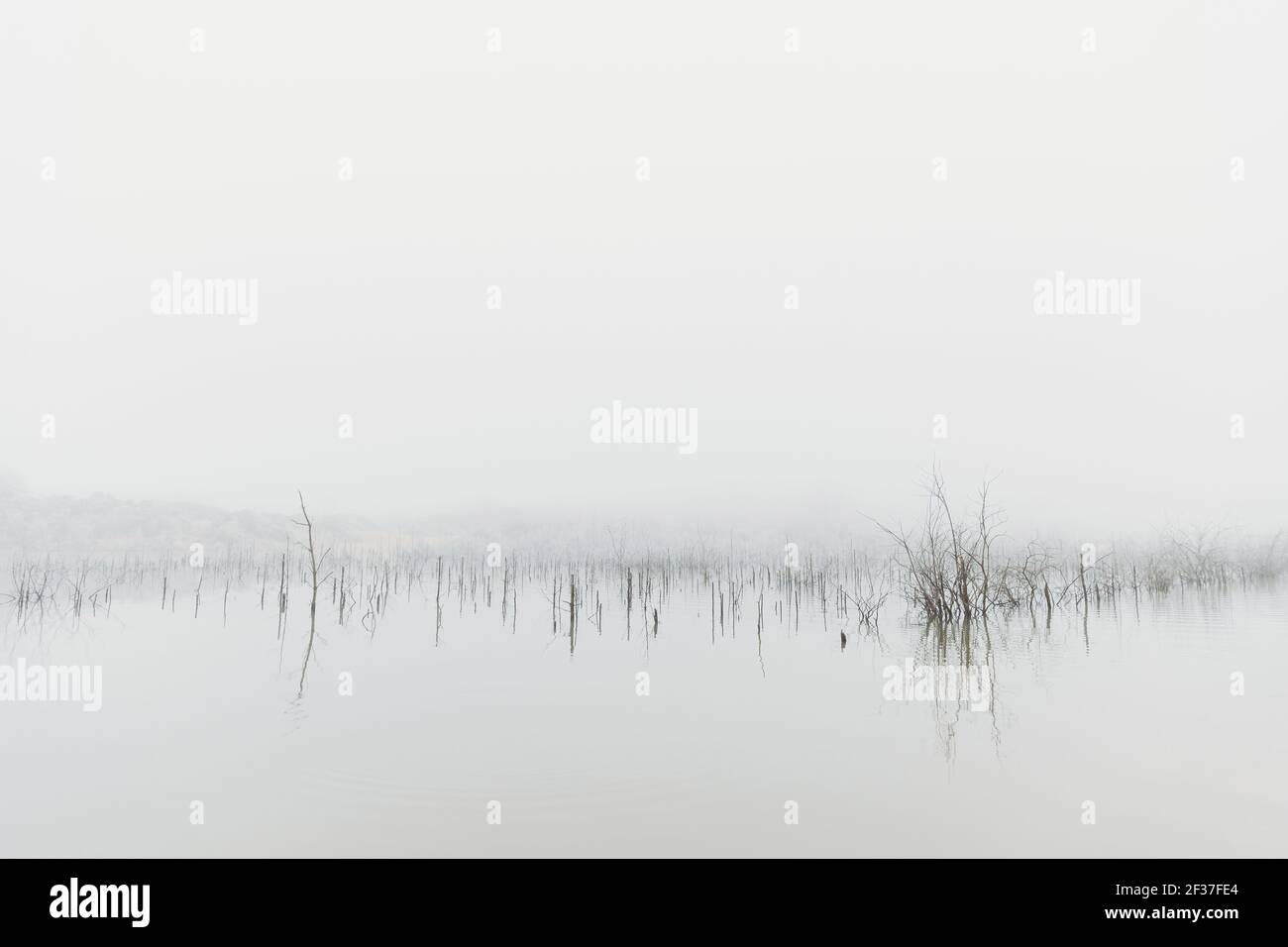 Artistic landscape foggy hi-res stock photography and images - Alamy