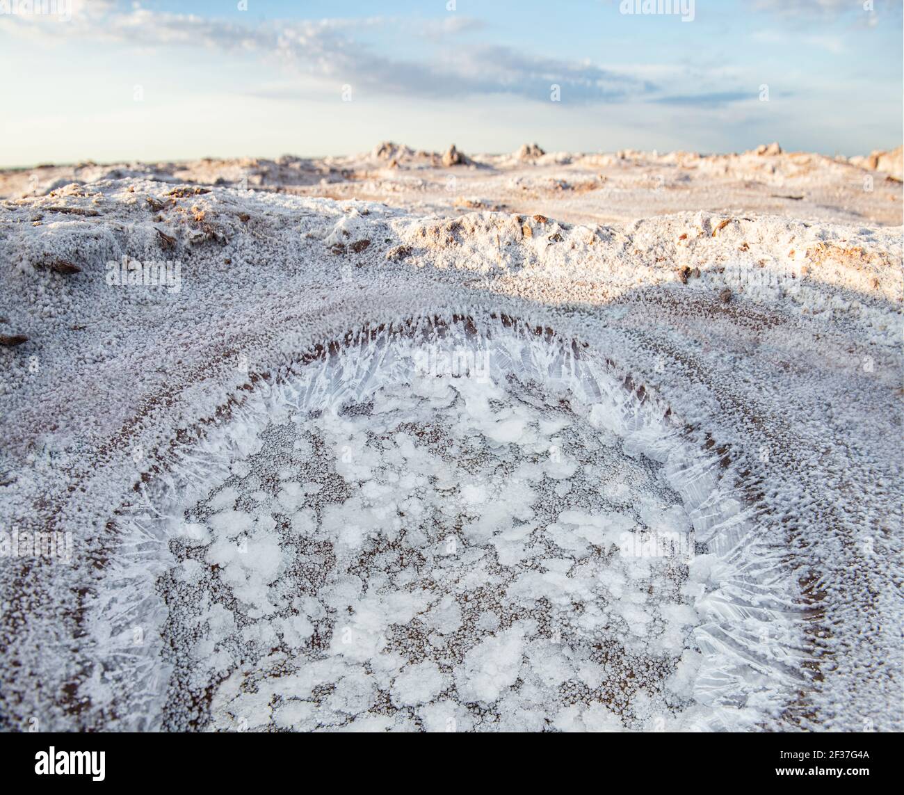 Salt Puddle Abstract formations of grass hi-res stock photography and images - Alamy