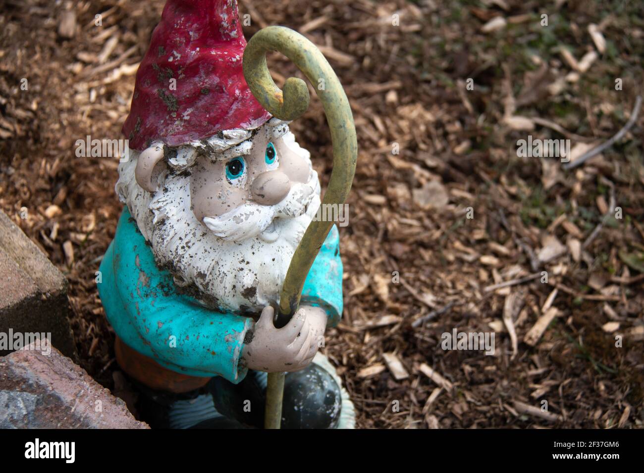 A cute garden gnome wearing a turquoise jacket and a red cap, holding a long gold staff on top soil in a garden in Ontario, Canada, 2021. Stock Photo