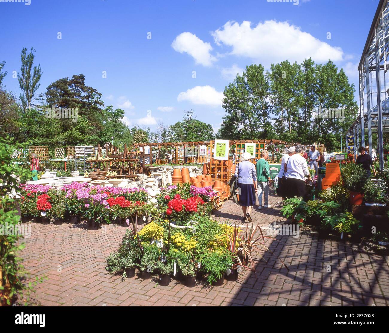 Outdoor plant section at Garden Centre, Berkshire, England, United Kingdom Stock Photo