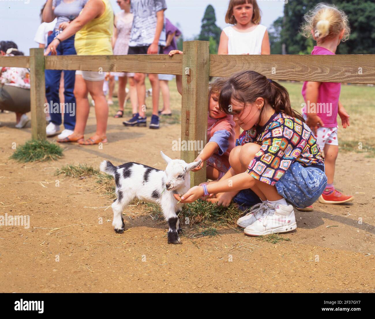Young girl feeding baby goat in Children's Farmyard, Cotswold Wildlife Park & Gardens, Burford, Wiltshire, England, United Kingdom Stock Photo