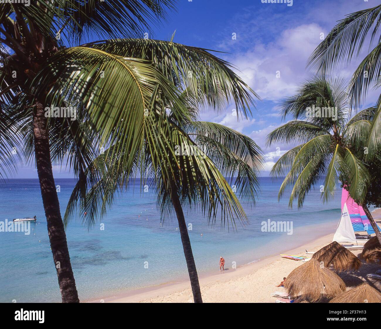 Beach view, Tamarind Cove, Barbados, Lesser Antilles, Caribbean Stock Photo