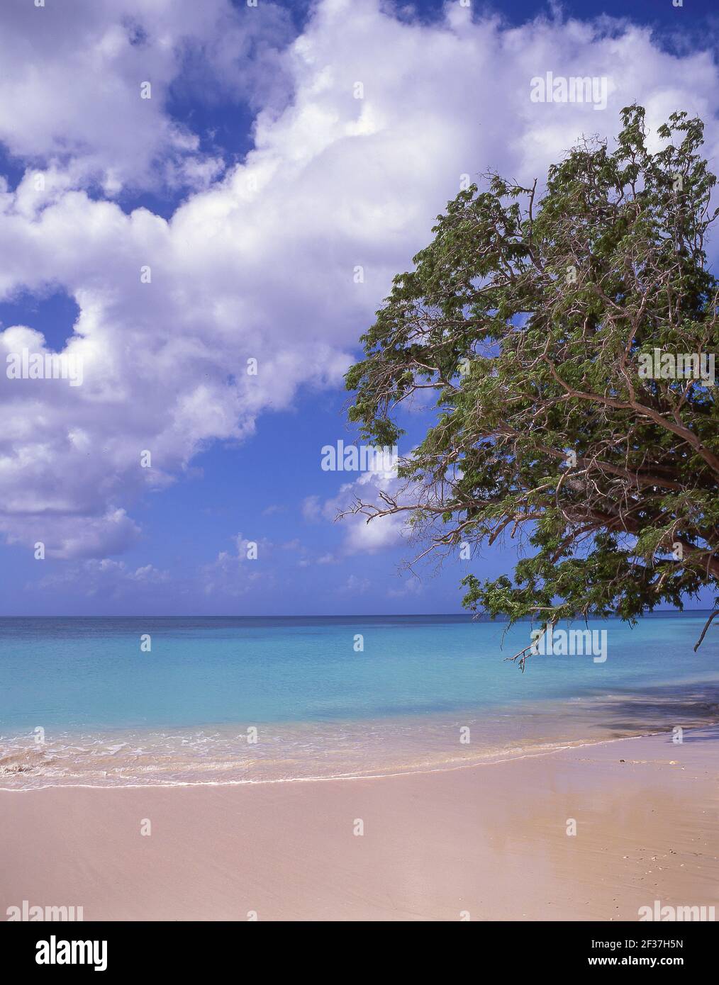 Darkwood Beach, Saint Mary’s Parish, Antigua, Antigua and Barbuda, Lesser Antilles, Caribbean Stock Photo