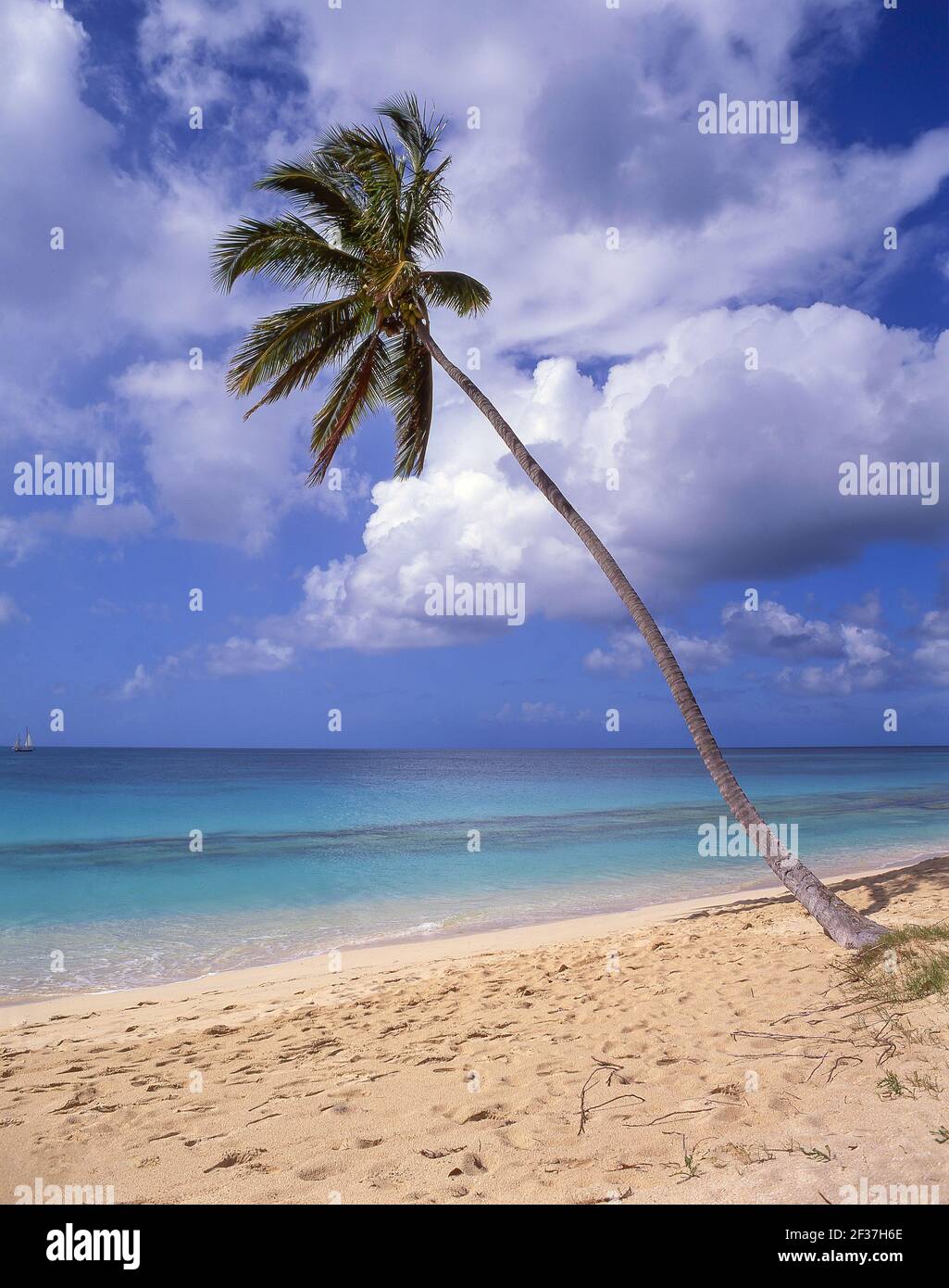 Darkwood Beach, Saint Mary’s Parish, Antigua, Antigua and Barbuda, Lesser Antilles, Caribbean Stock Photo