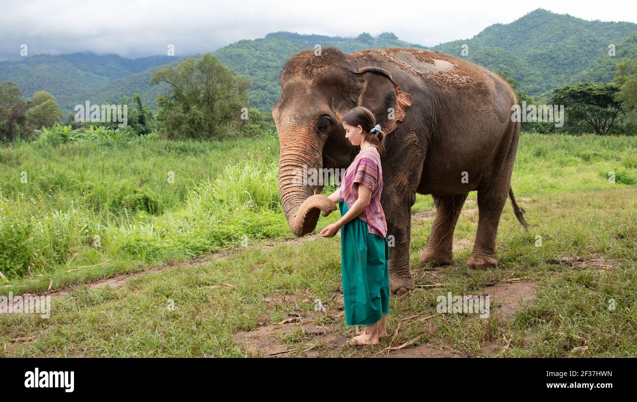 North of Chiang Mai, Thailand. A girl is stroking an elephant in a sanctuary for old elephants. Stock Photo