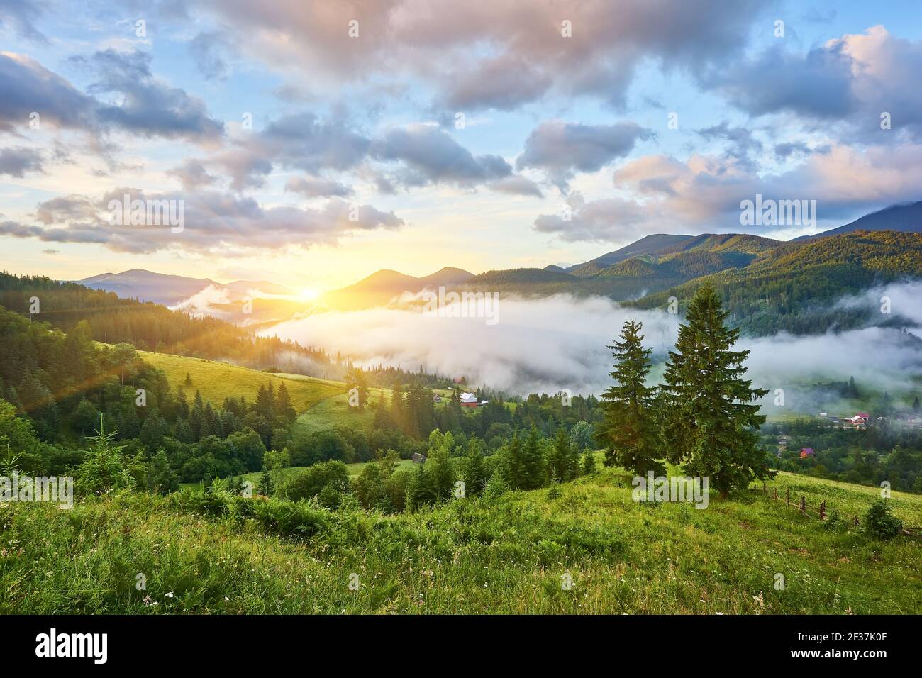 Landscape with fog in mountains and rows of trees Stock Photo - Alamy