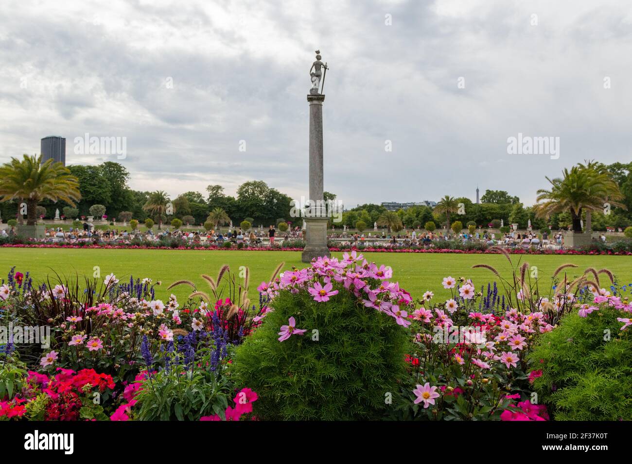 Beautiful and colorful flowers from the Luxemburg Garden Stock Photo