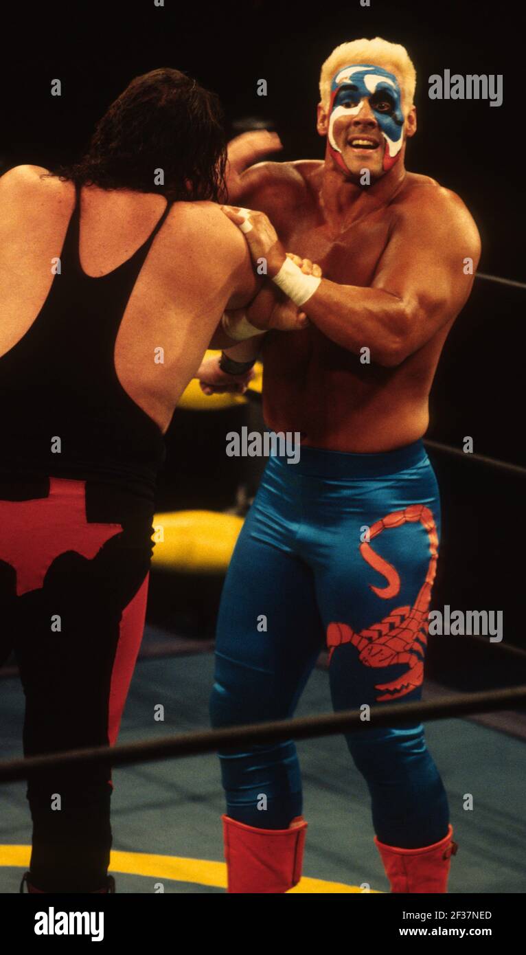 Sting1995 Photo By John Barrett/PHOTOlink Stock Photo