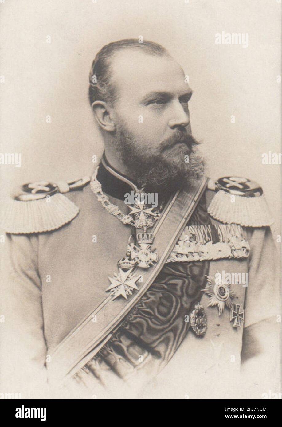 Prince Albrecht of Prussia in 1883. Stock Photo
