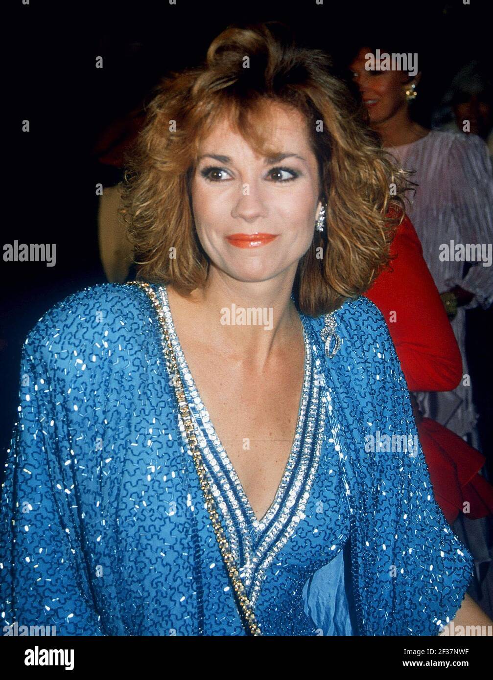 Kathy Lee Gifford 1980s Photo by Adam  Stock Photo -  Alamy