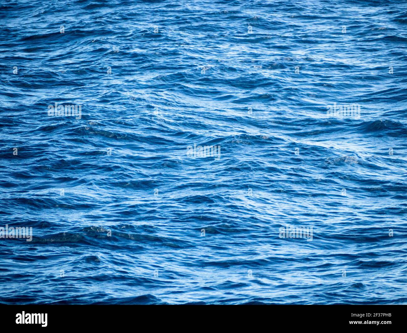 Southern Ocean swell, Bremer Canyon, Western Australia Stock Photo