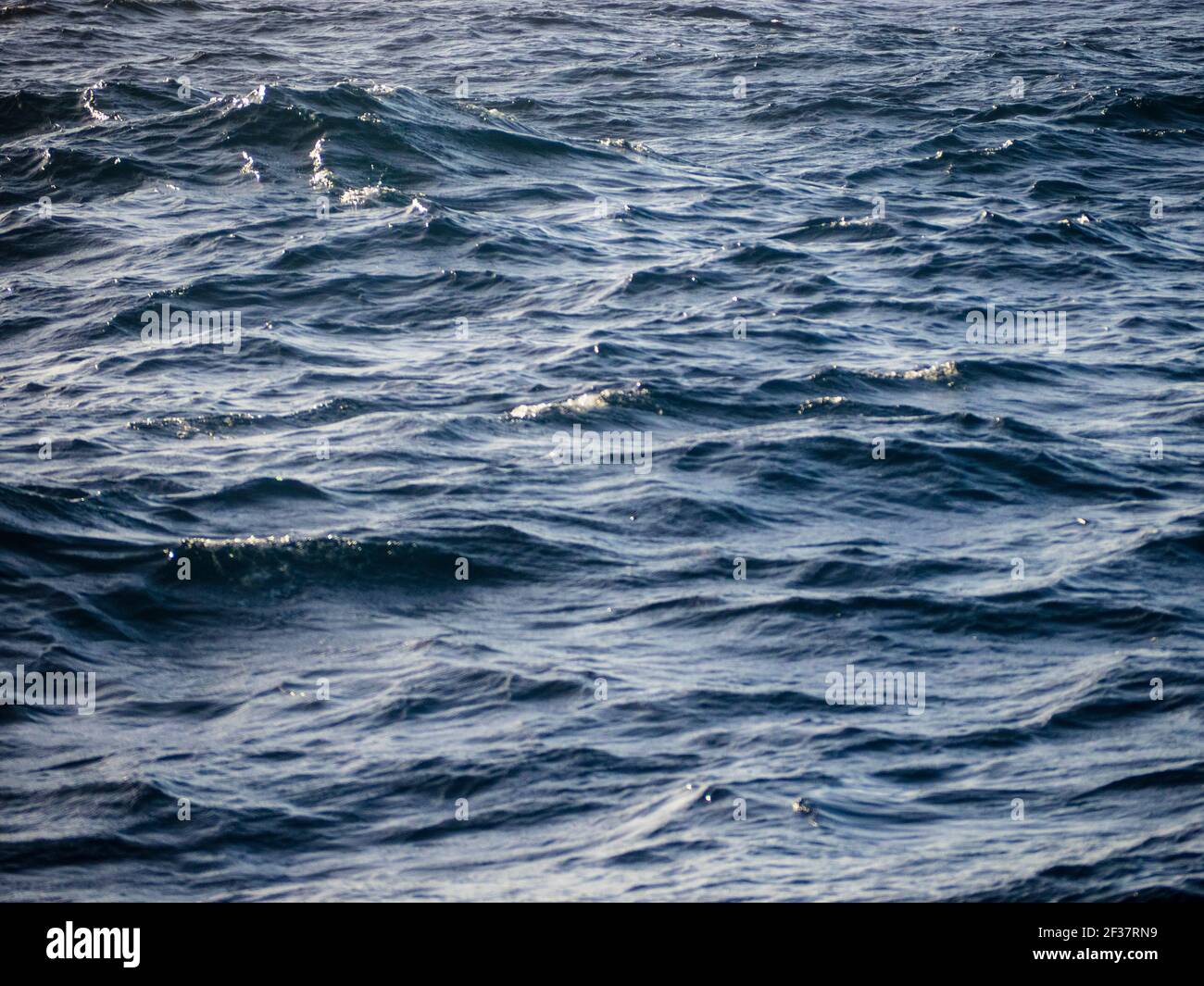 Gunmetal Grey High Resolution Stock Photography and Images - Alamy