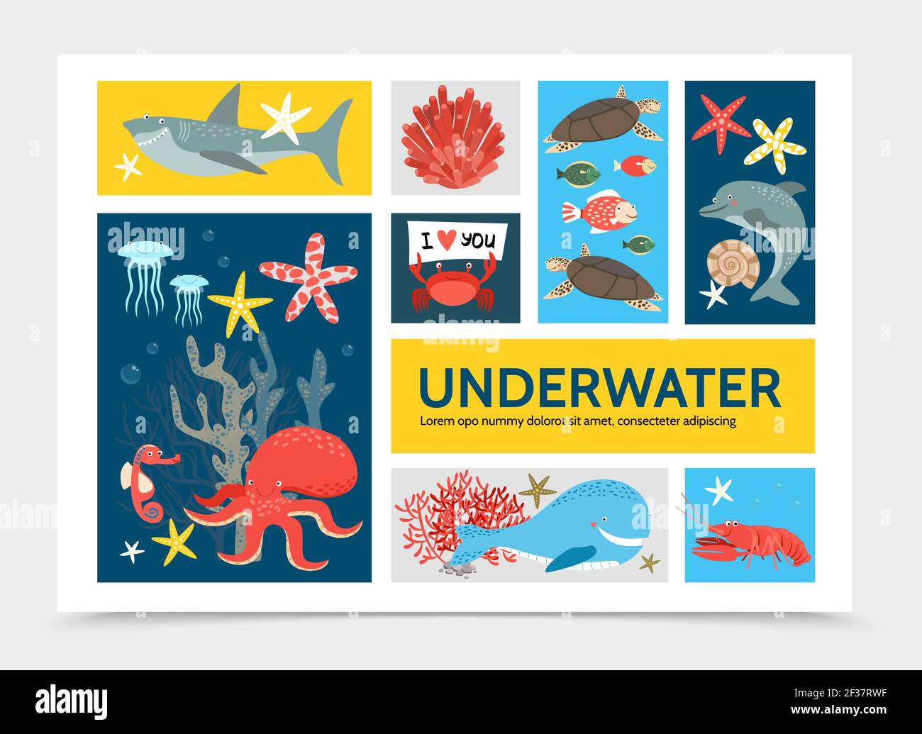 Flat underwater world infographic concept with fish shark dolphin ...