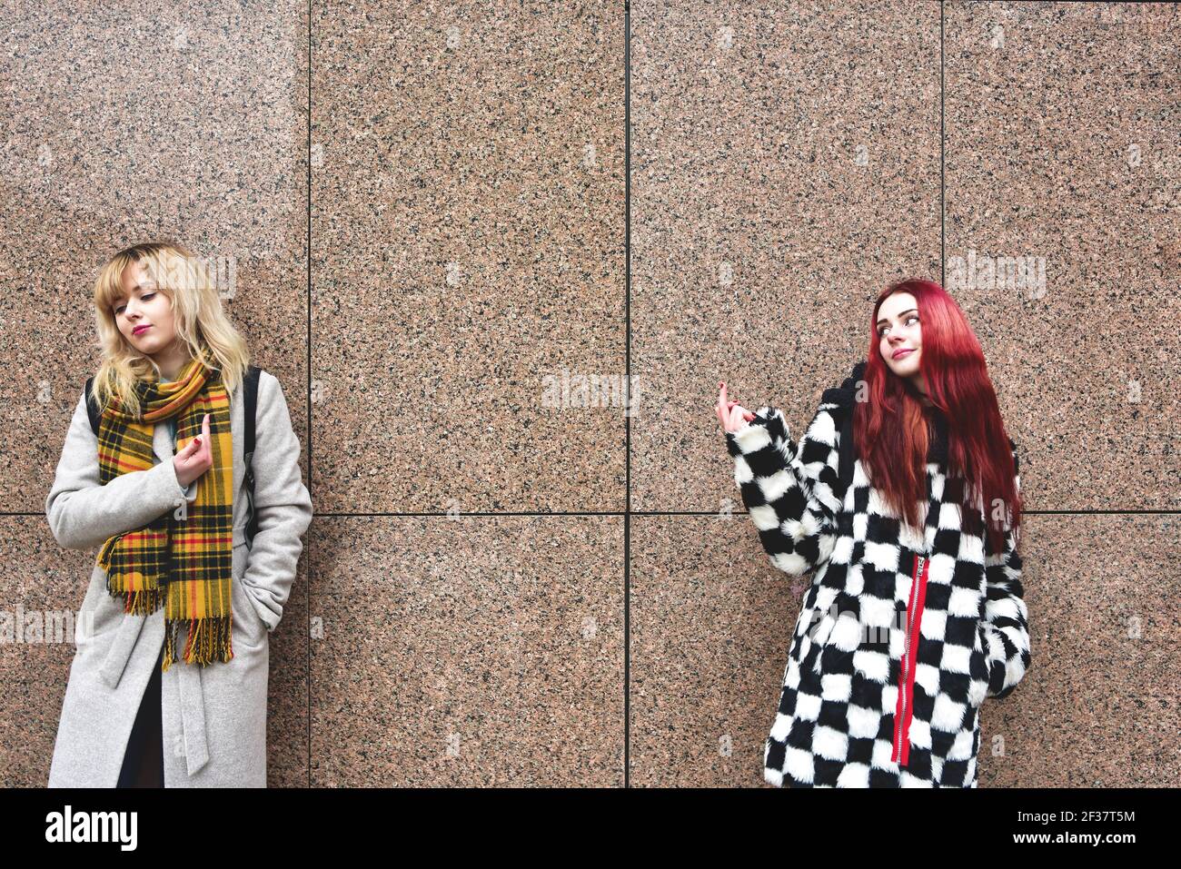 Two young women are cursing. Quarrel, aggression, stress. Two brunette girlfriends swear. Scream. Point fingers to the head. An emotional solution to Stock Photo