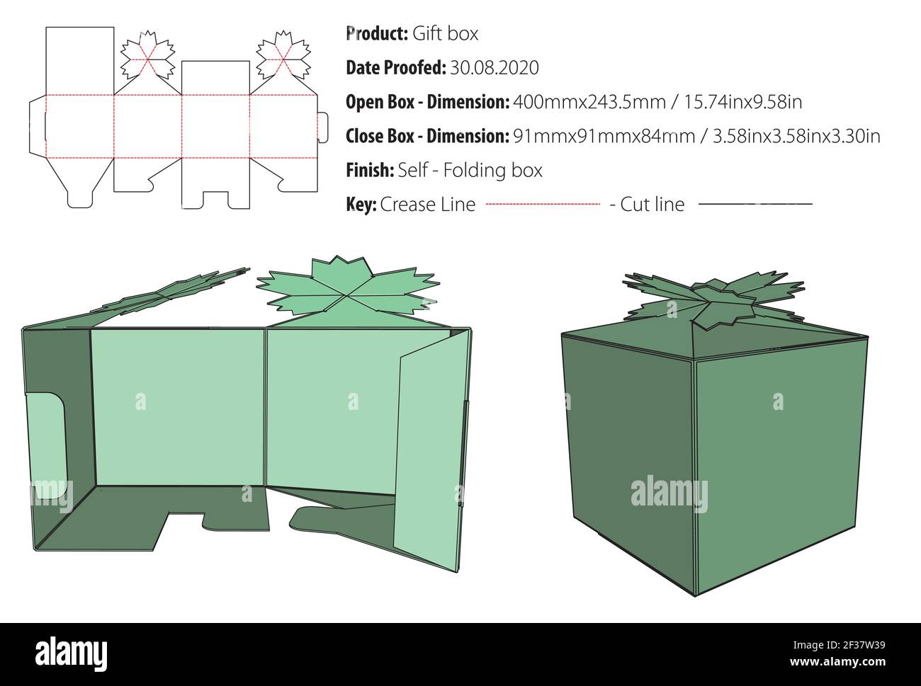 Gift box for many products die cut template vector Stock Vector
