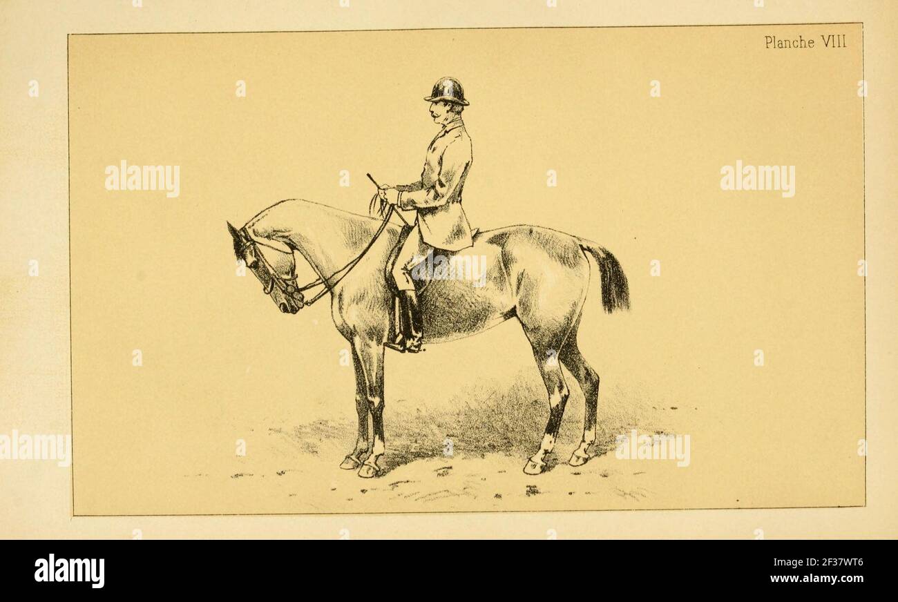 Principes De Dressage Et D'équitation - James Fillis (Livre Ancien équitation)