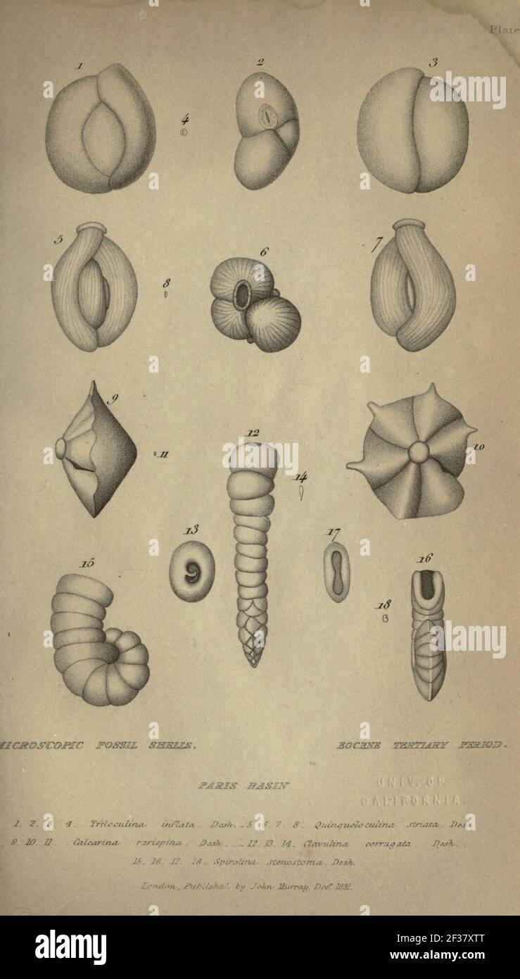 Principles of geology Stock Photo Alamy