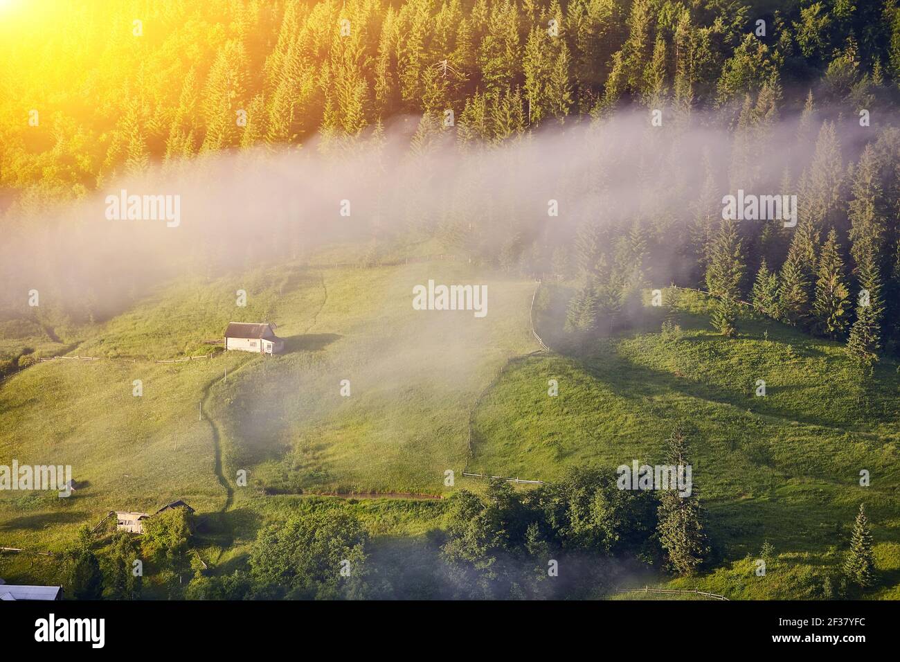 Landscape with fog in mountains and rows of trees Stock Photo - Alamy