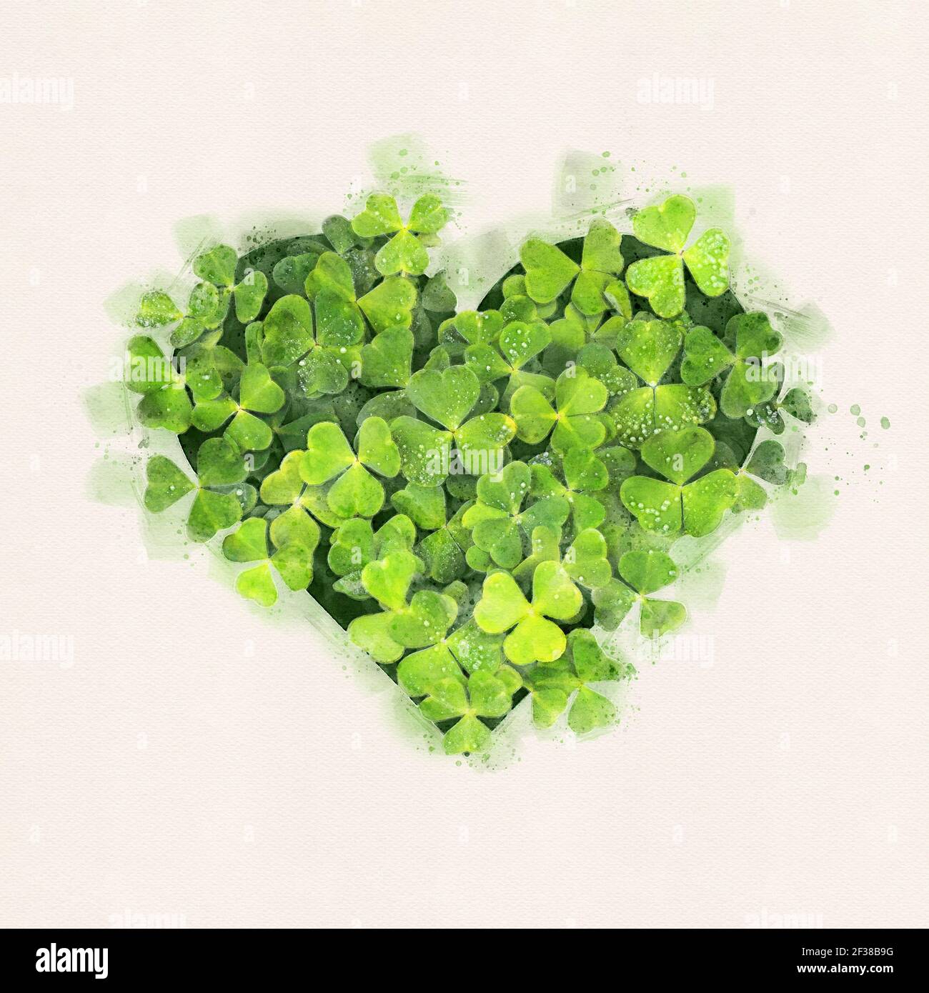Green clover leaves heart in watercolor style on white paper background Stock Photo