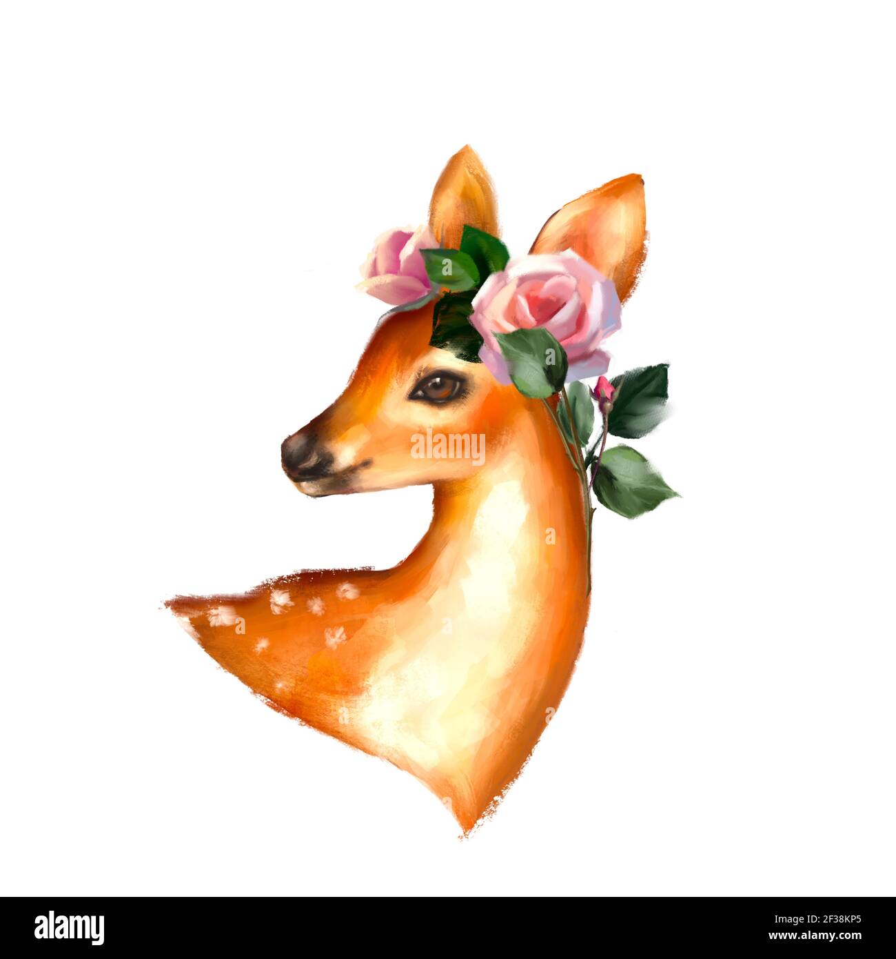 Cute deer and flowers. Spring animal portrait Stock Photo - Alamy Cute deer and flowers. Spring animal portrait Stock Photo - Alamy