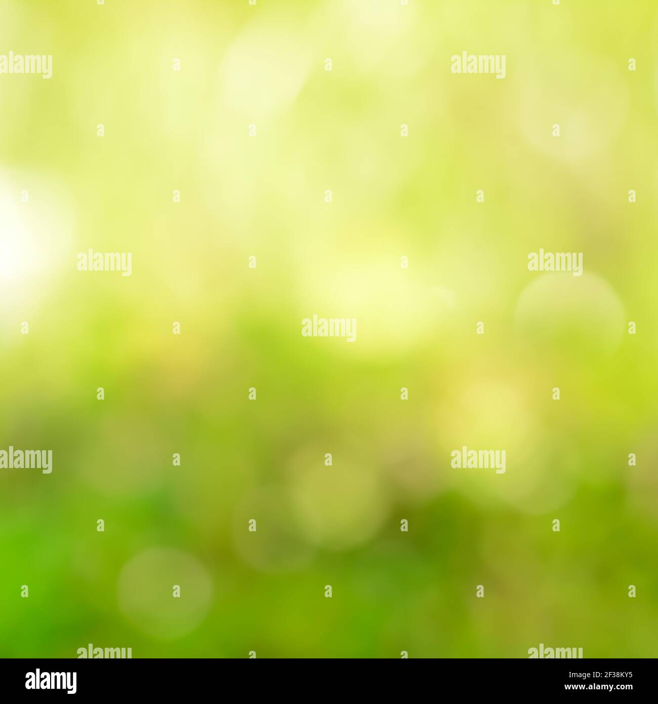 Bokeh green background hi-res stock photography and images - Alamy