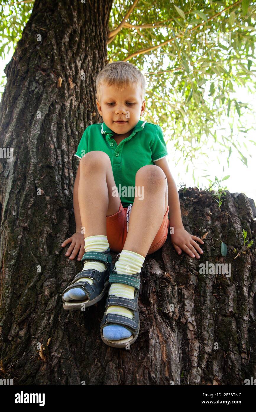 Little boy sitting on tree in park Stock Photo - Alamy