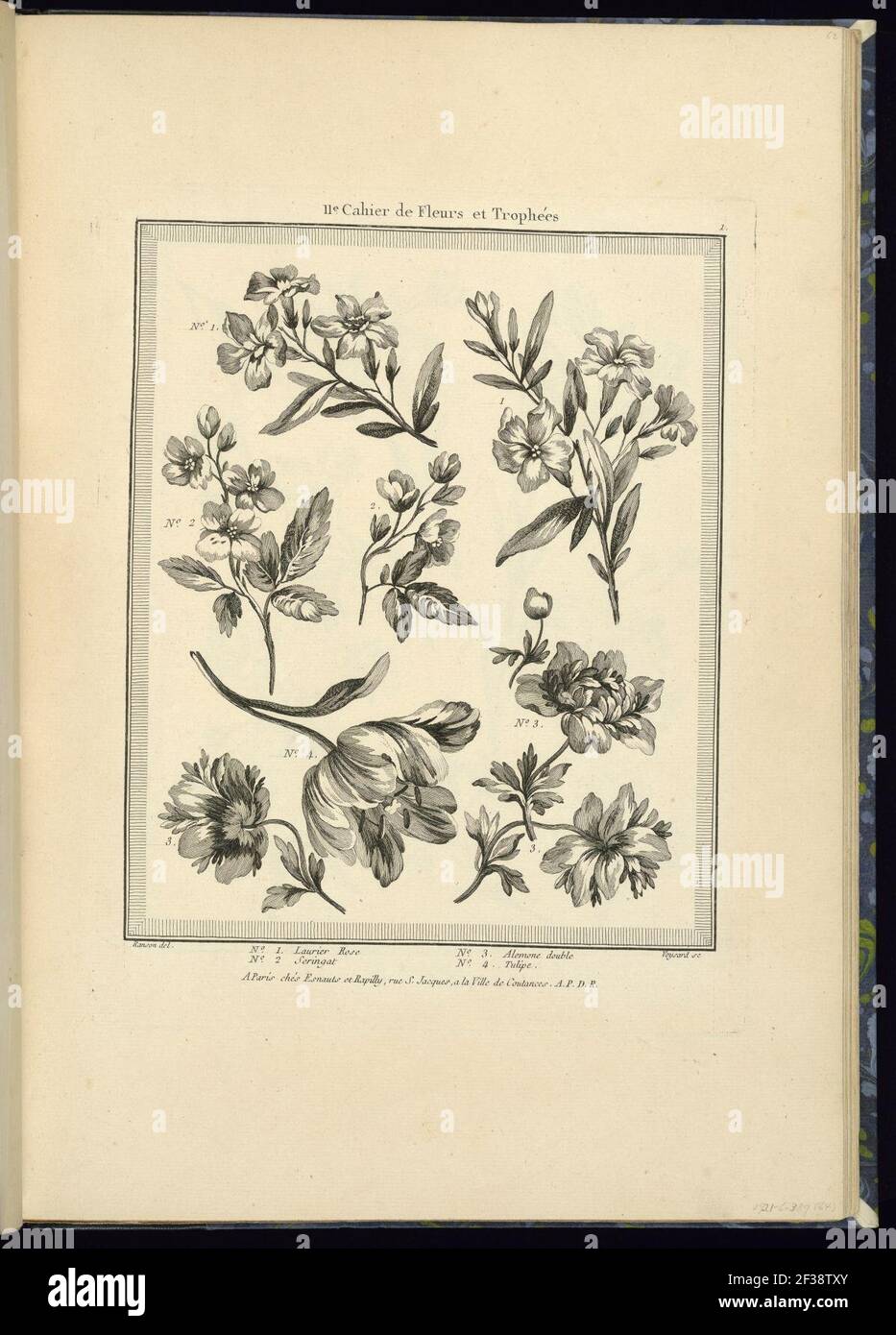 Print, Pl. 1 of 11e cahier de fleurs et trophées from Oeuvres contenant un recueil de trophées, attributs, cartouches, vases, fleurs, ornemens, et plusieurs dessins agréables pour broder des Stock Photo