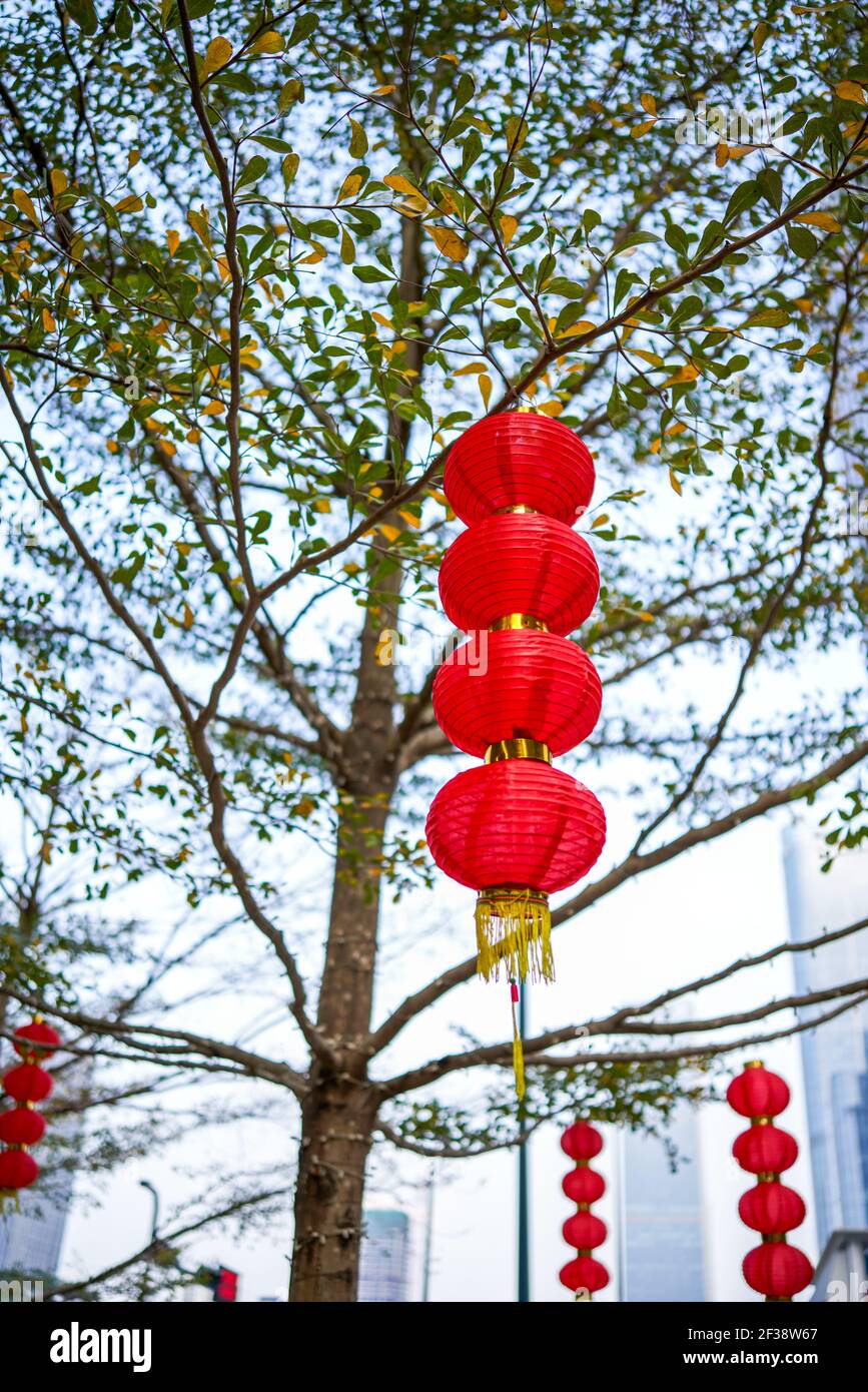 Red lanterns hanging on the trees in the city Stock Photo - Alamy