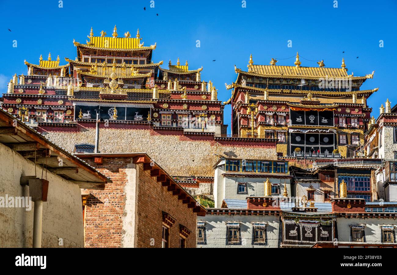Main buildings of Ganden Sumtseling monastery colorful scenic view over clear blue sky in Shangri-La Yunnan China Stock Photo