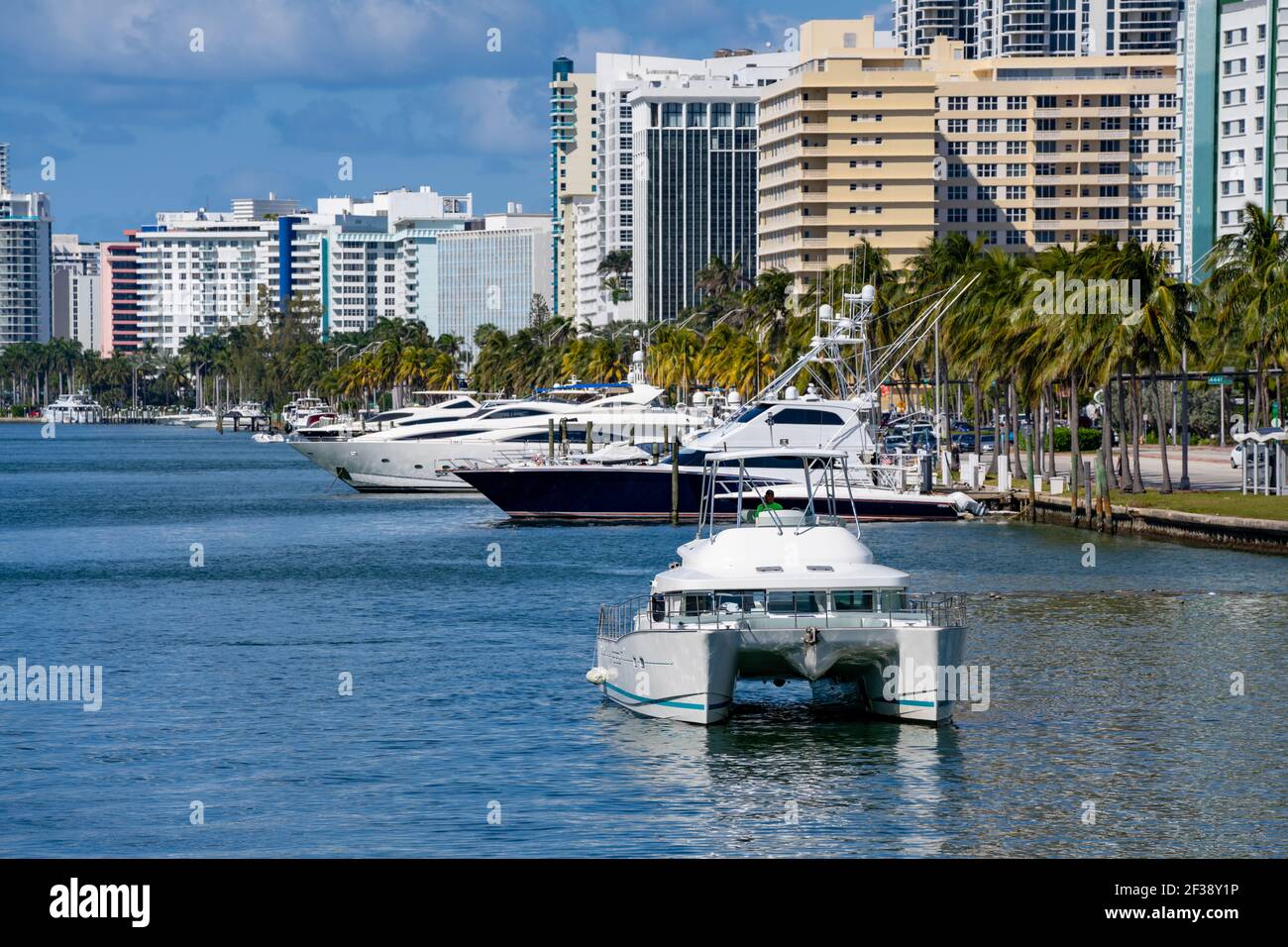 Catamaran style boat in Miami Beach Stock Photo Alamy