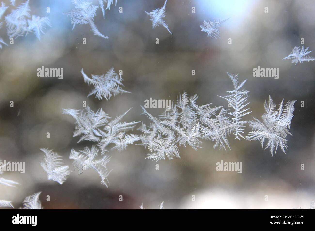 Frosty natural pattern on winter window glass Stock Photo - Alamy