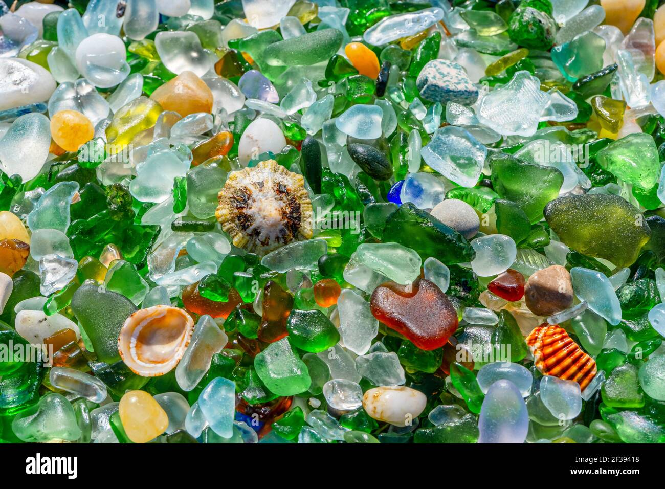 Many of the pieces of glass, shells and rocks moulded by the sea. The