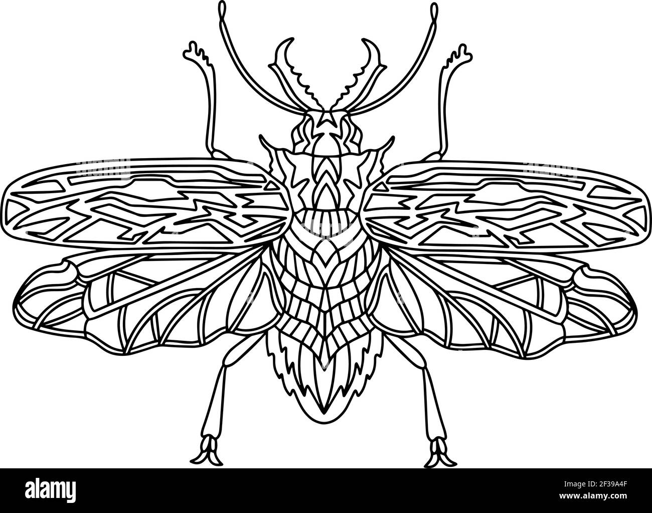 Beetle Brazilian woodcutter coloring book. Stock Vector