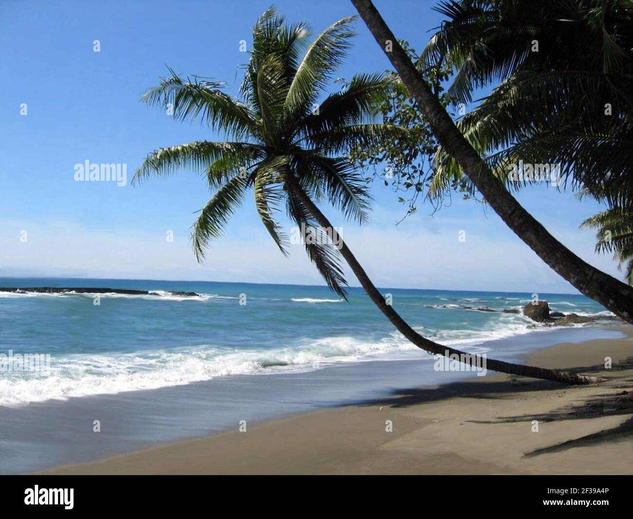 Plage De Martinique Stock Photo Alamy