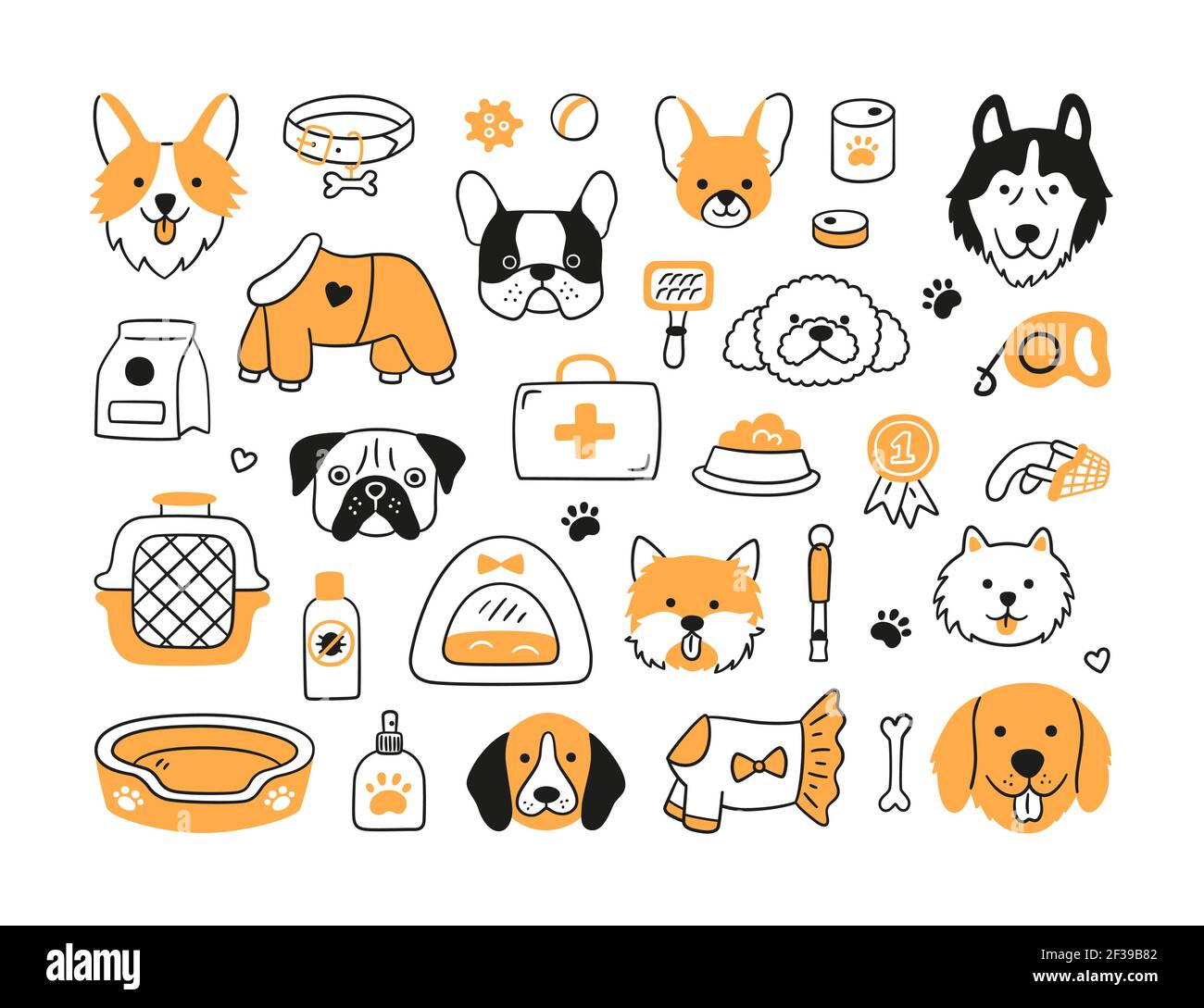 Set of heads of different breeds dogs and canine accessories. Collar