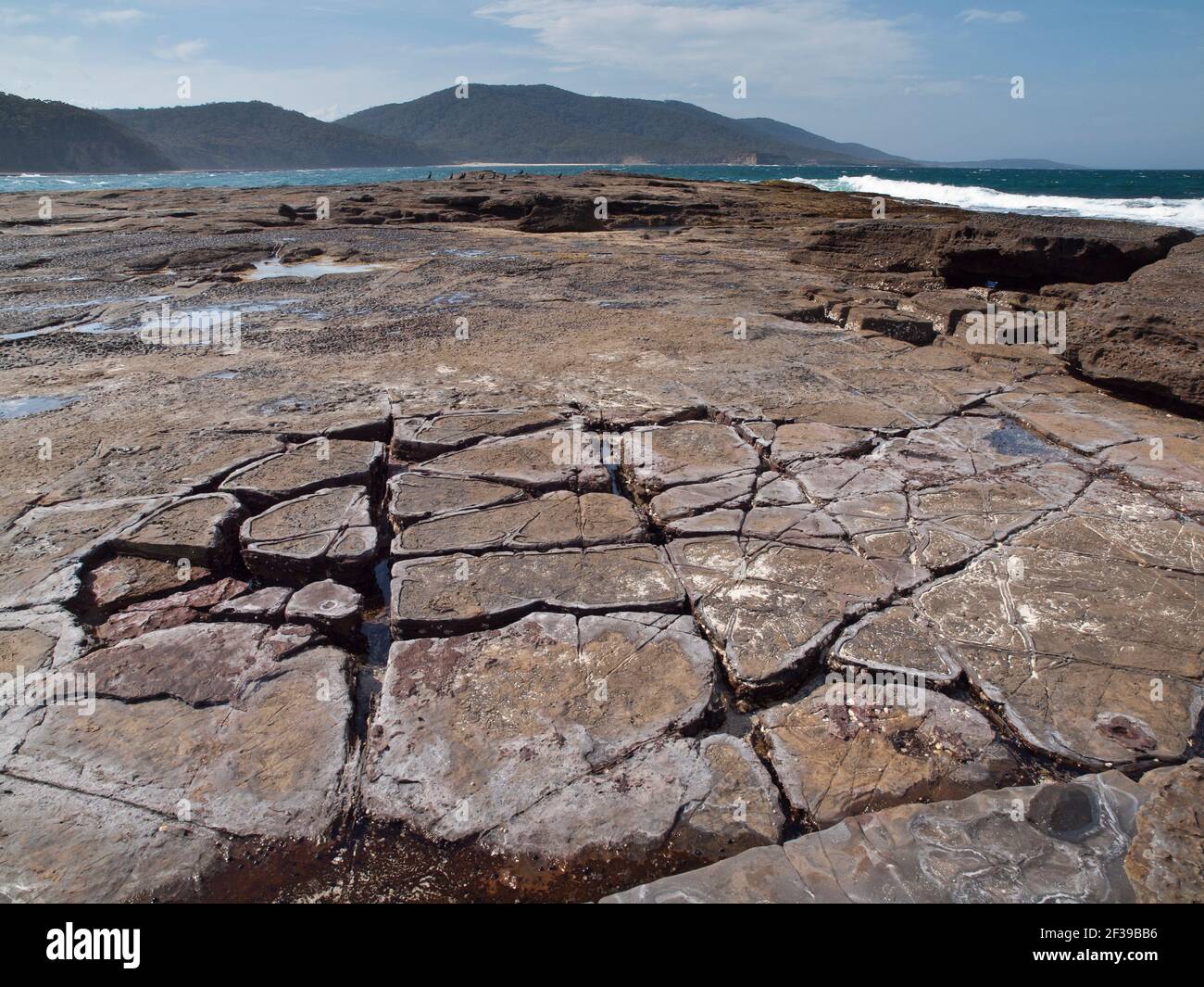 Rock platform, Murramarang National Park, NSW, Australia Stock Photo