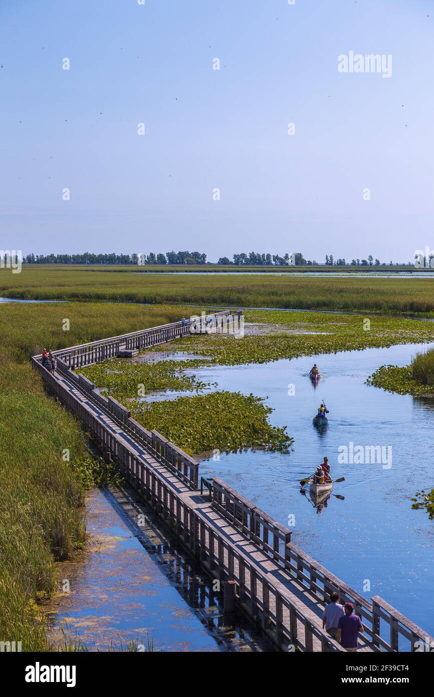 geography / travel, Canada, Point Pelee national park, Marsh Board Walk, canoeist, Additional-Rights-Clearance-Info-Not-Available Stock Photo