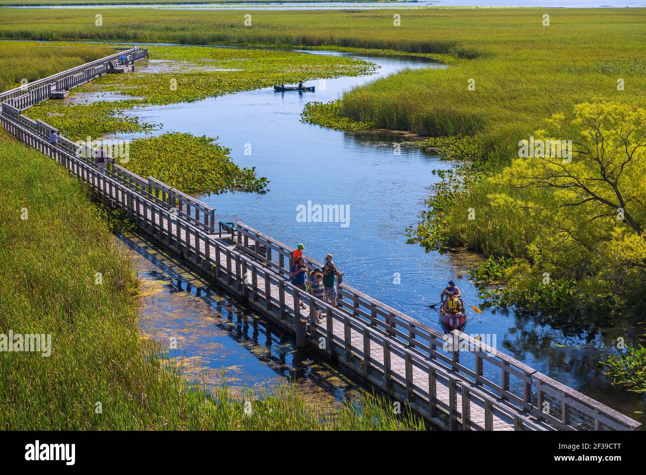 geography / travel, Canada, Point Pelee national park, Marsh Board Walk, canoeist, Additional-Rights-Clearance-Info-Not-Available Stock Photo