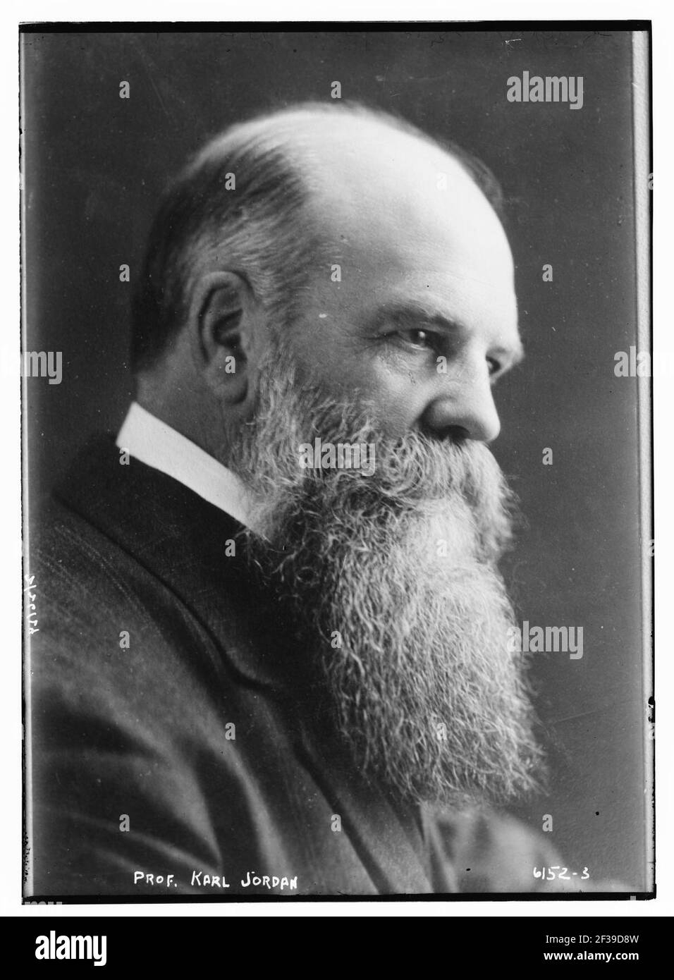 Prof. Karl Jordan Stock Photo Alamy