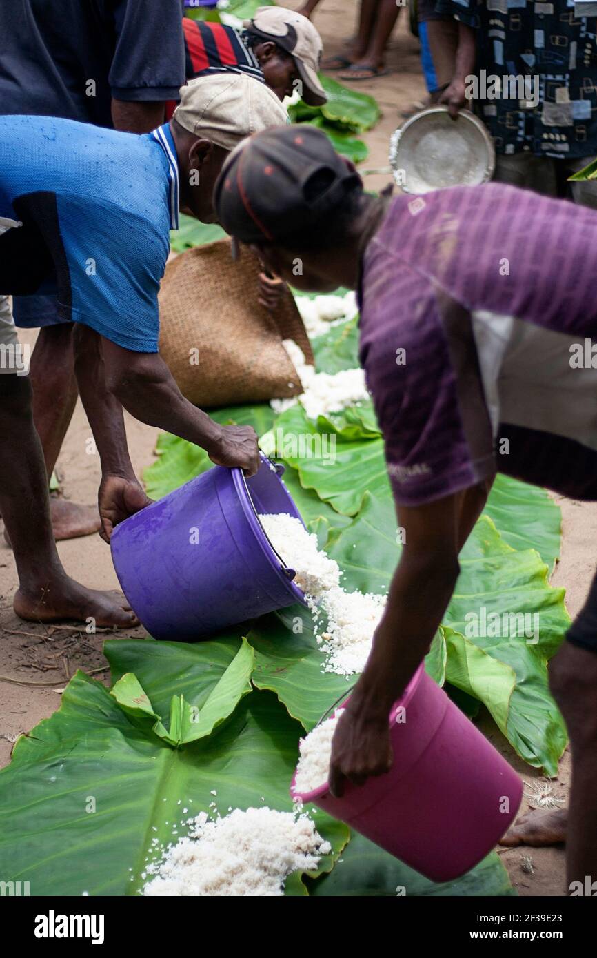 Preparing palm leaves on the ground as plates and food, rice for a feast at Famadihana ceremony, or Turning of the Bones, Maroansetra, Madagascar Stock Photo