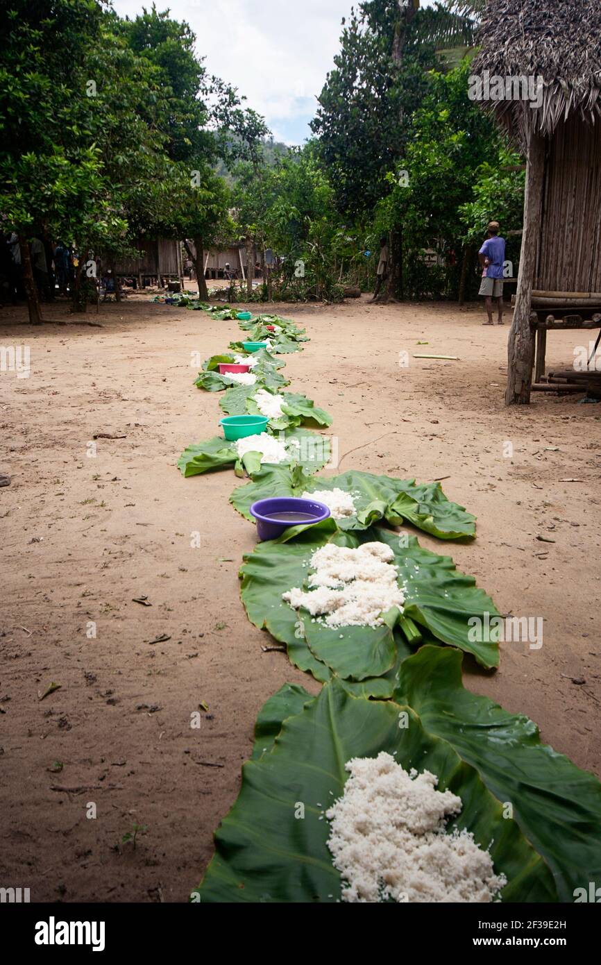 Preparing palm leaves on the ground as plates and food, rice for a feast at Famadihana ceremony, or Turning of the Bones, Maroansetra, Madagascar Stock Photo