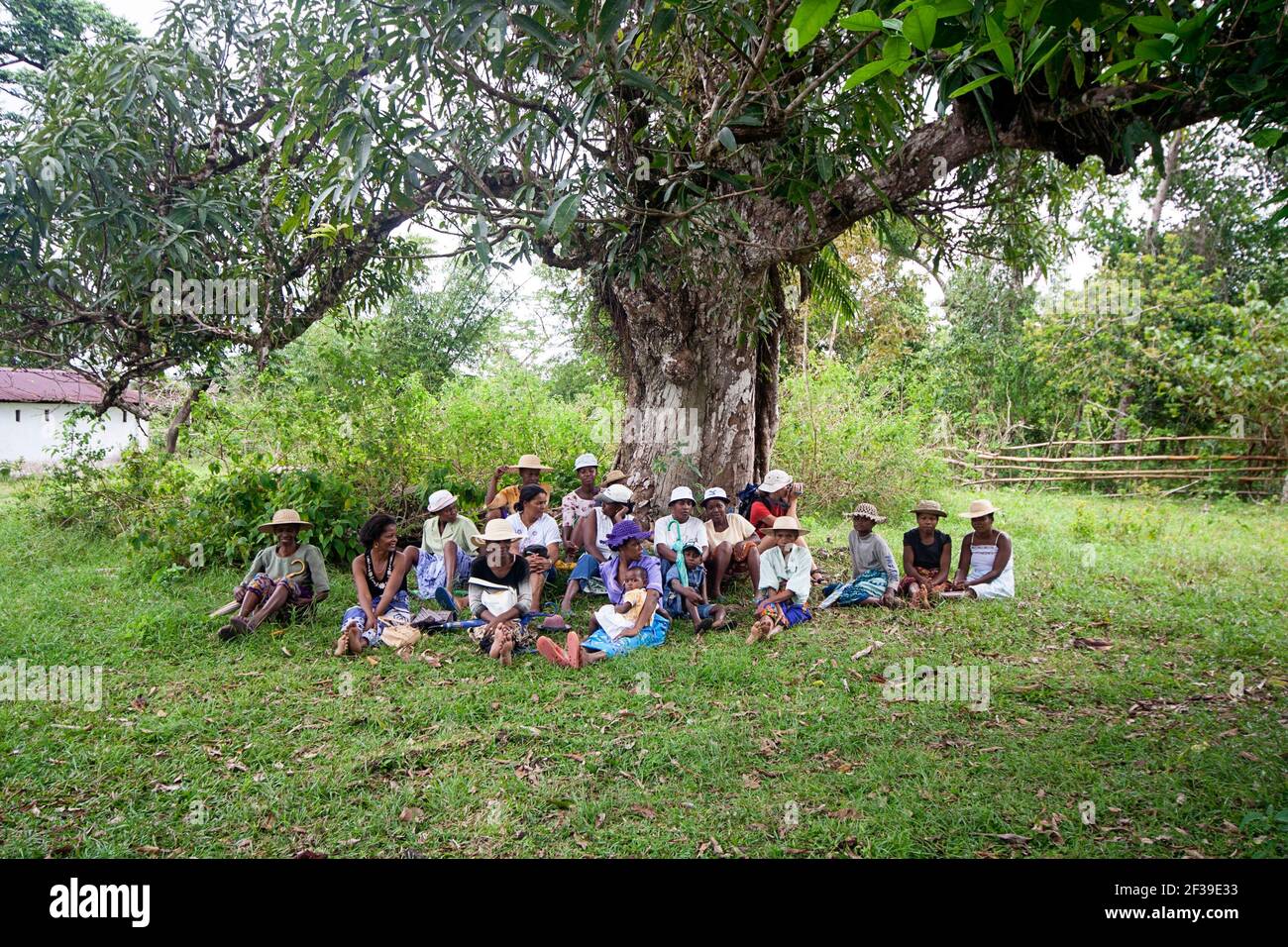 Famadihana ceremony, or Turning of the Bones, a Malagasy tradition of celebrating their dead ancestors, people sitting under a tree, Madagascar Stock Photo