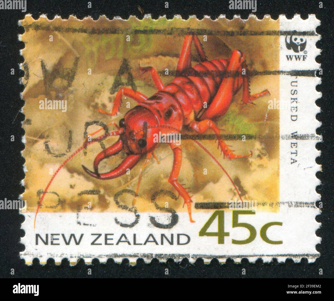 NEW ZEALAND - CIRCA 1993: stamp printed by New Zealand, shows Tusked Weta, circa 1993 Stock Photo
