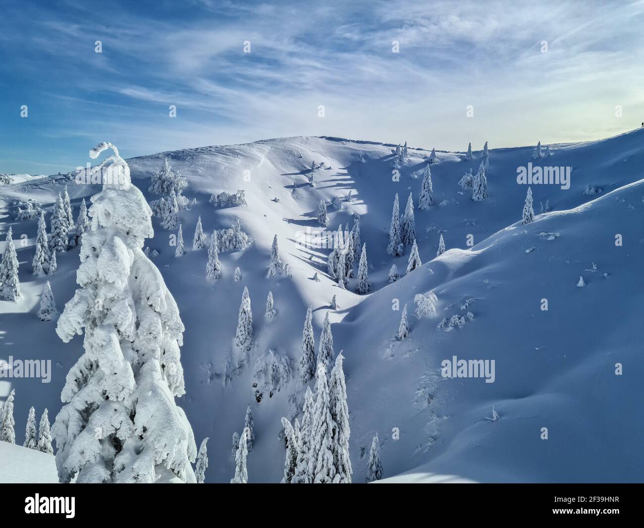 Trees covered with snow in the mountains Stock Photo - Alamy
